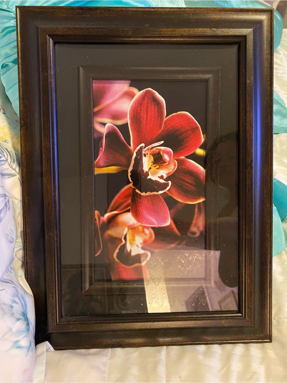 Framed Red/Wine Cymbidium Orchid Wall Art - Home Accents